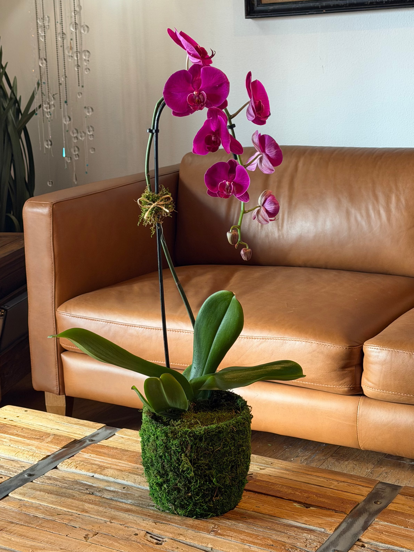 Large Arrangement (1 Orchid)