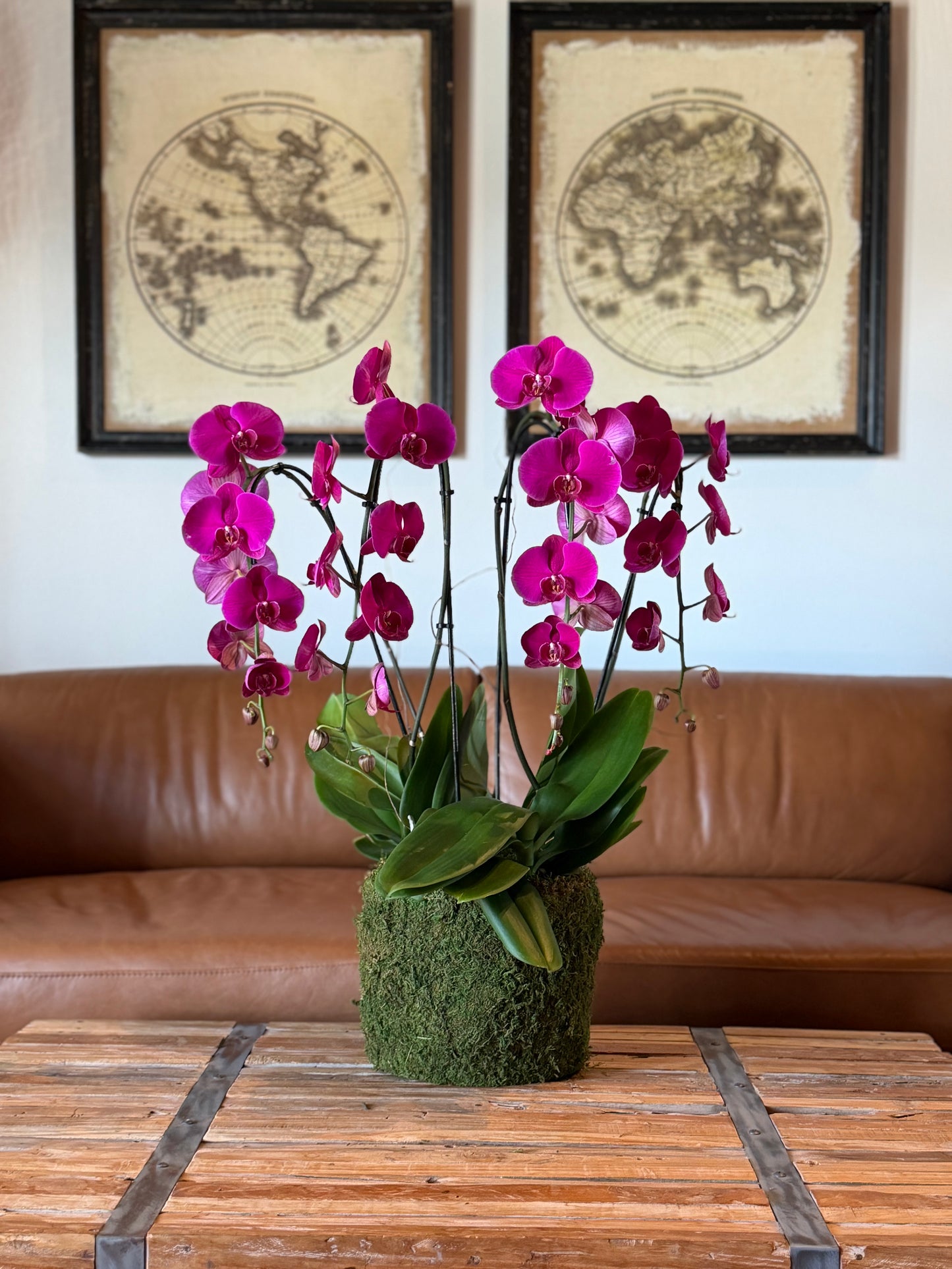 Large Arrangement (4 Orchids)