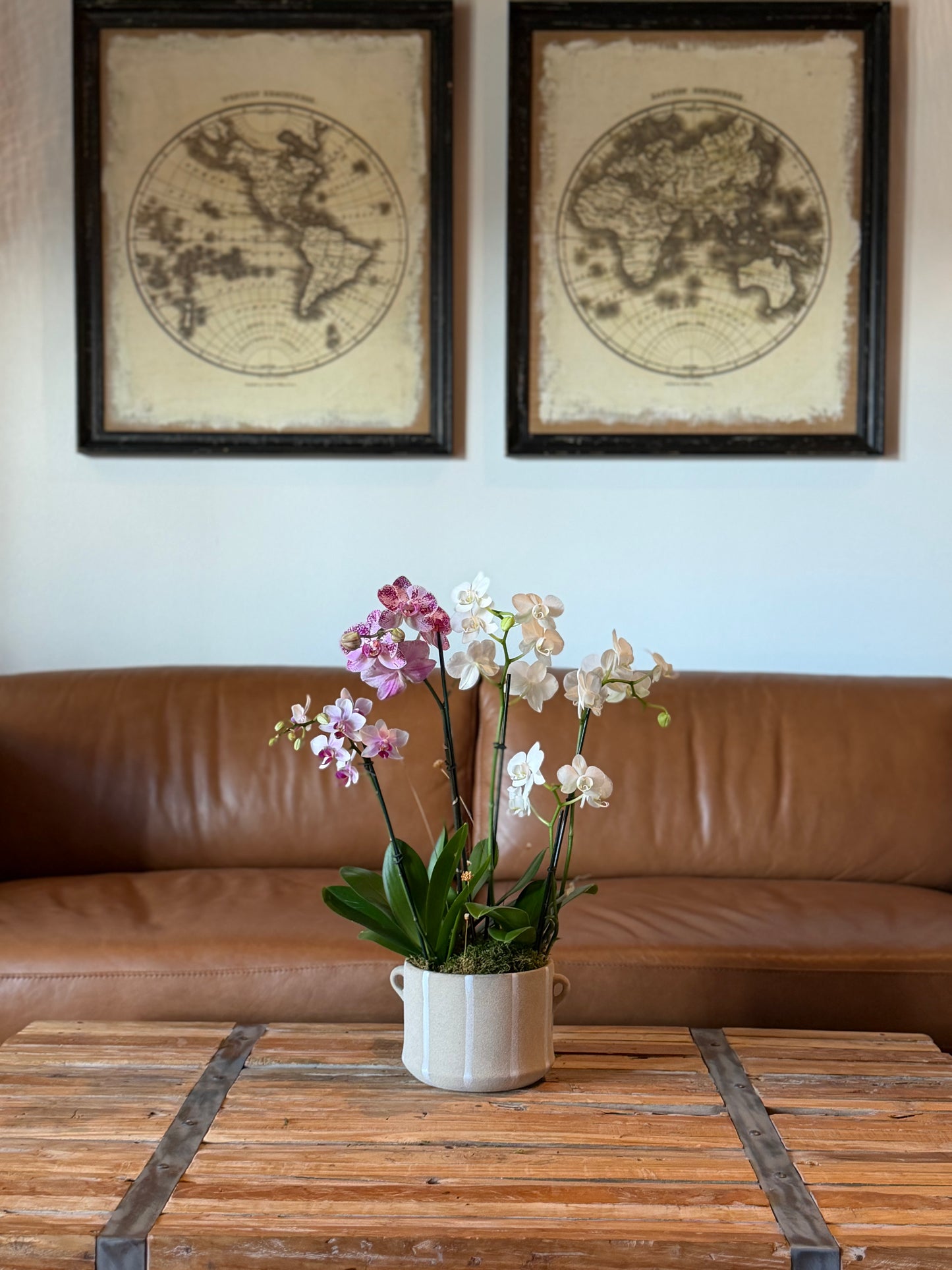 Mini Arrangement (3 Orchids)