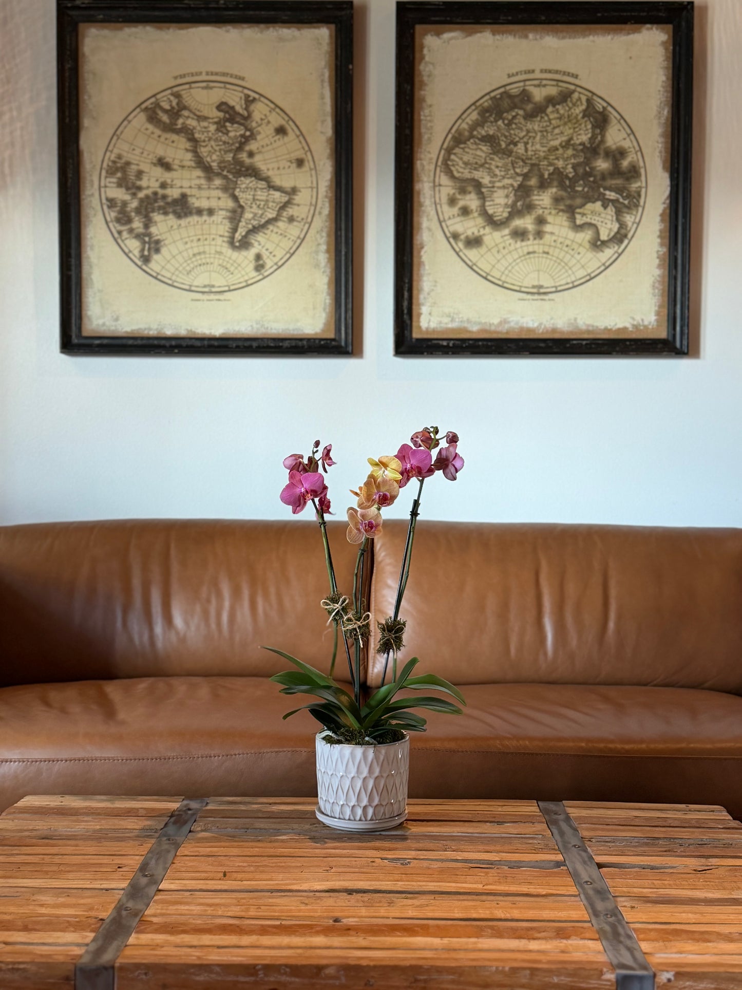 Mini Arrangement (2 Orchid)