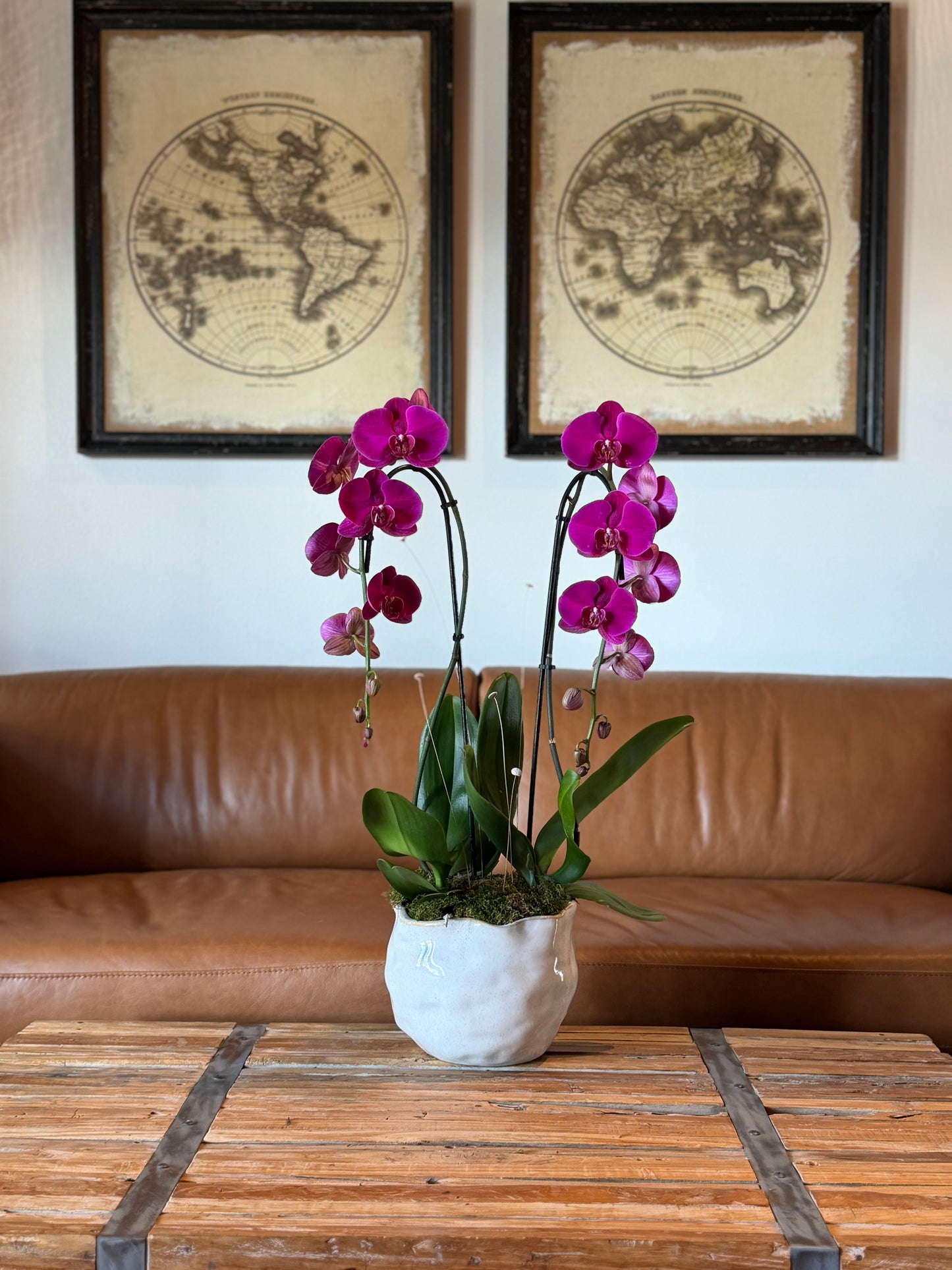 Large Arrangement (2 Orchids)