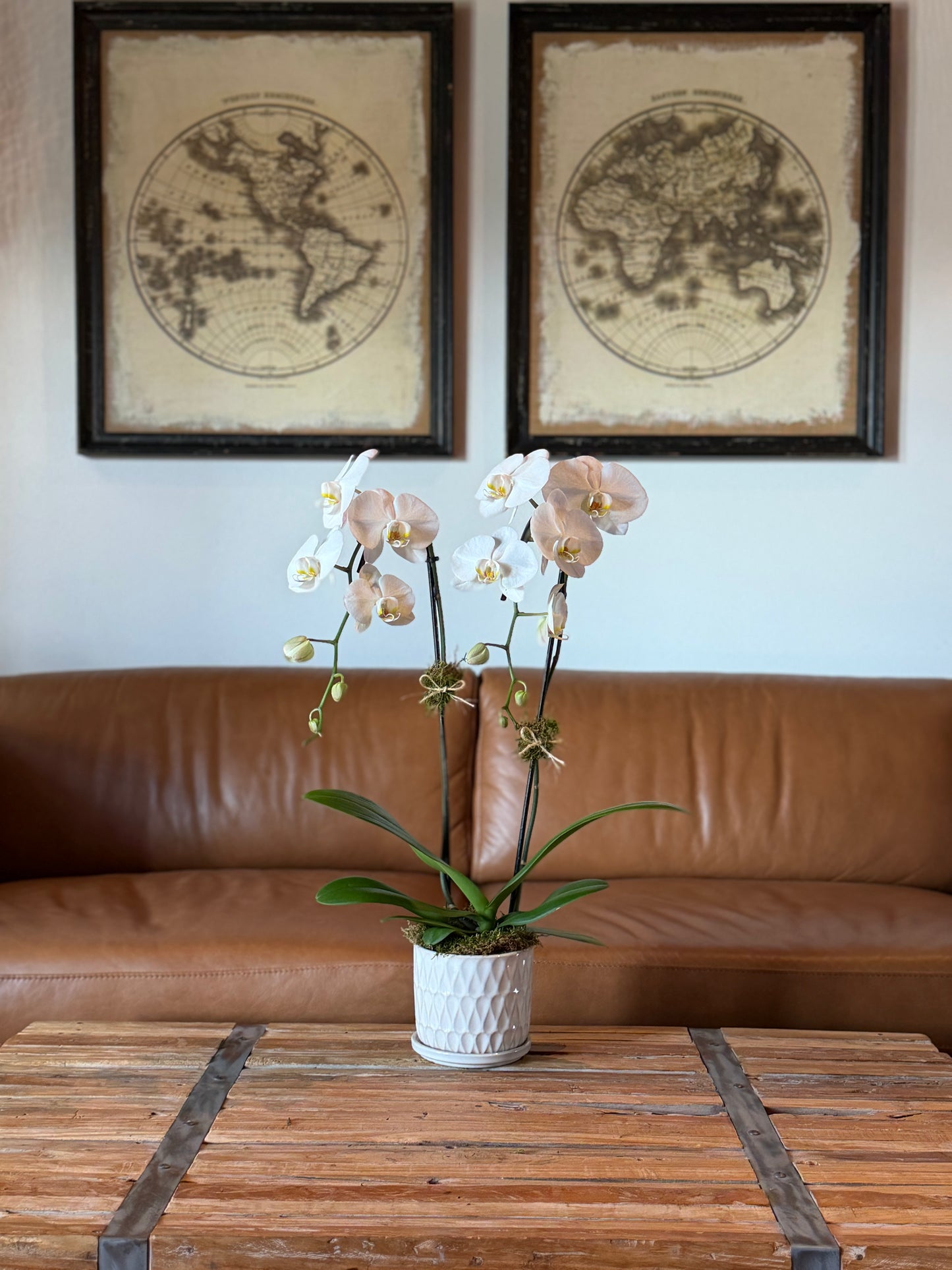 Large Arrangement (1 Orchid)